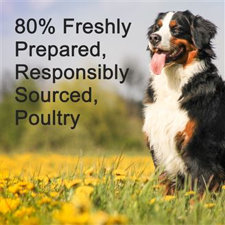 Casper's Poultry High Protein Grain Free Dog Treats 500g 